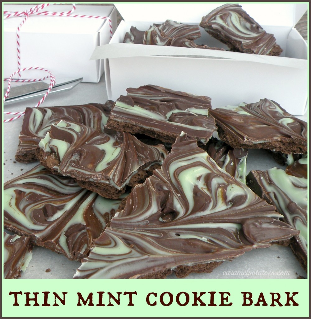 Thin Mint Cookie Bark - so fast and easy. Only two ingredients!