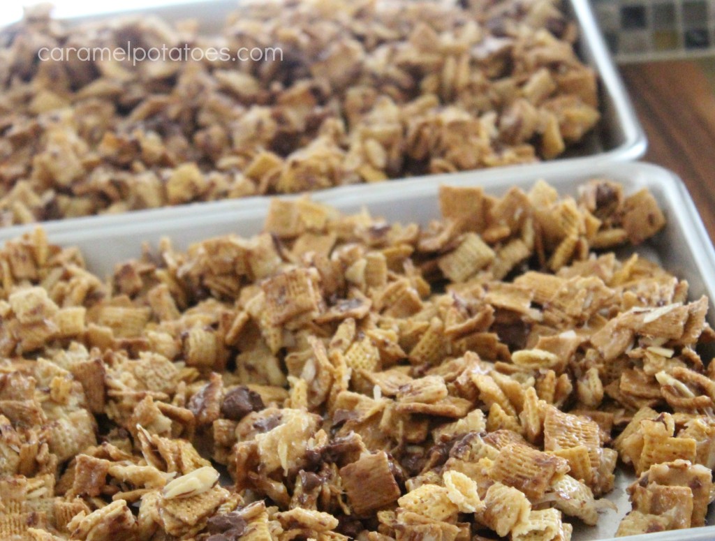 Chocolate-Peanut Butter Chex Mix
