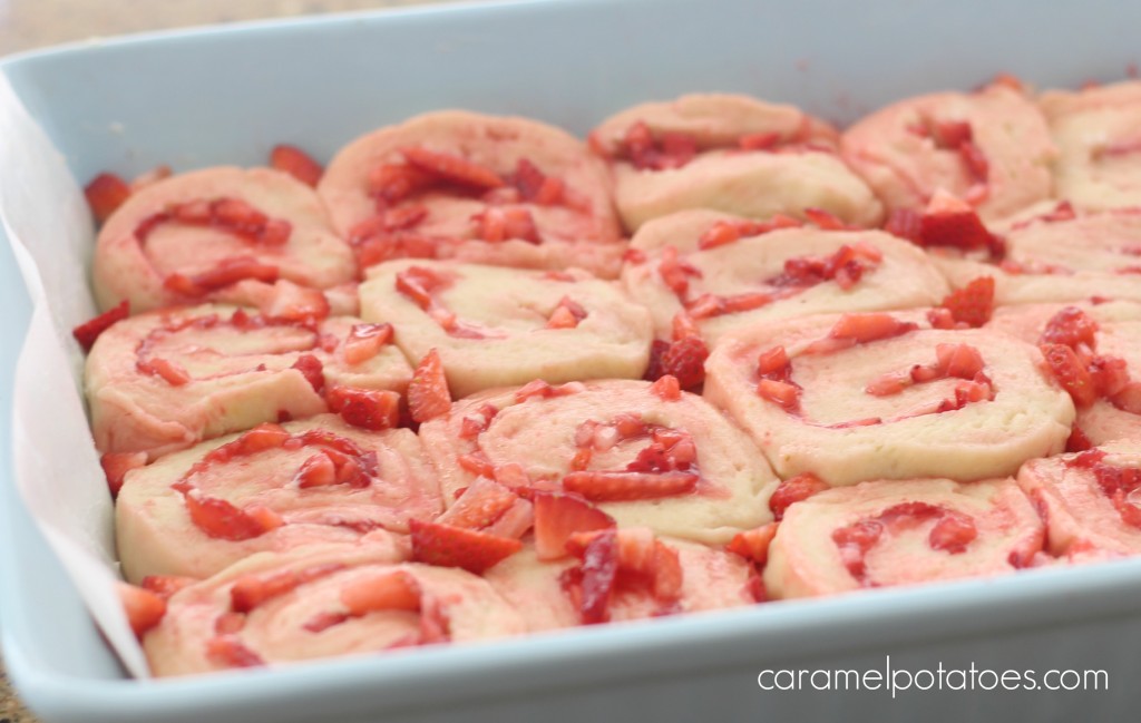 strawberry rolls strawberry cake 073