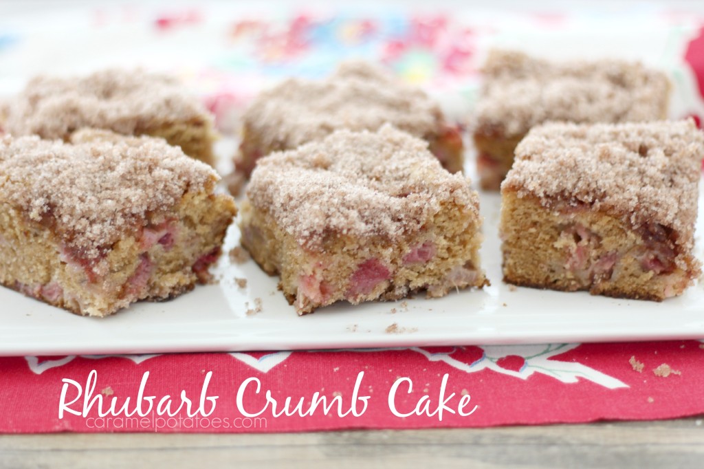Rhubarb Crumb Cake 