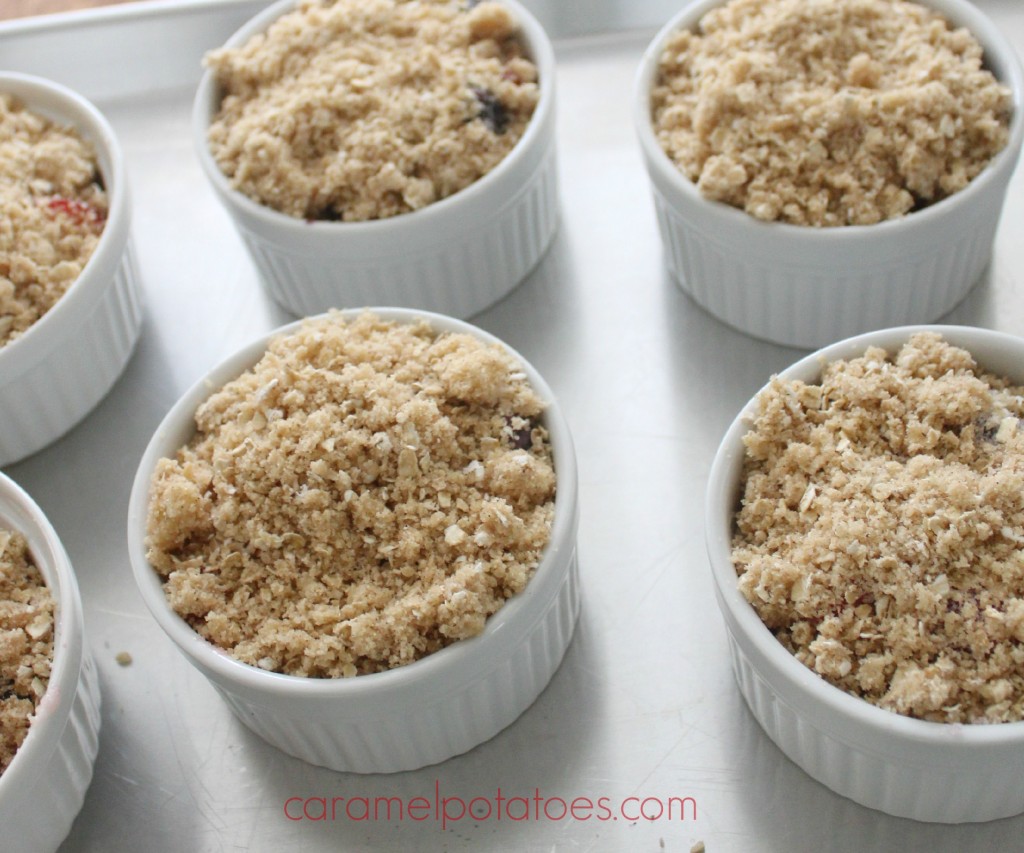 mixed berry crumble 042