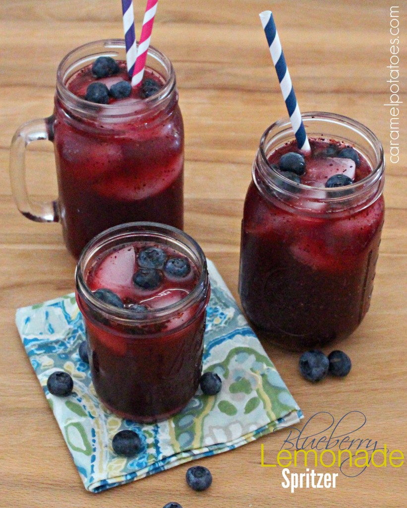 Blueberry Lemonade Spritzer