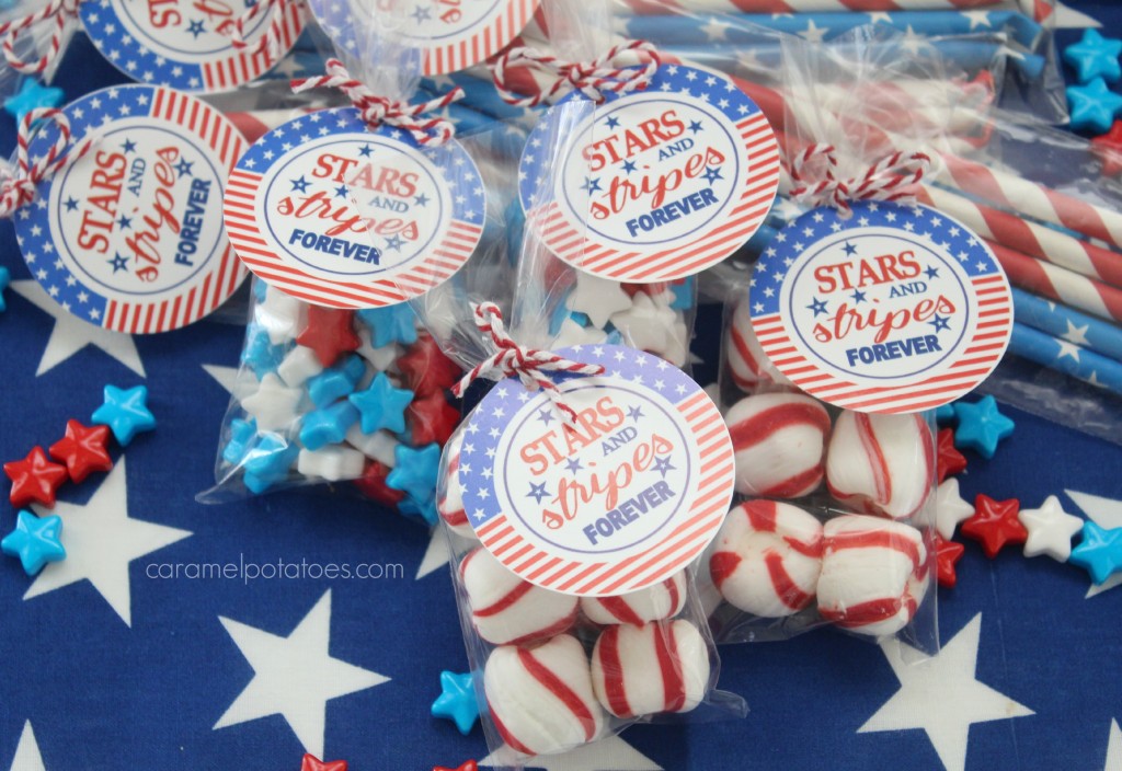 stars and stripes 023