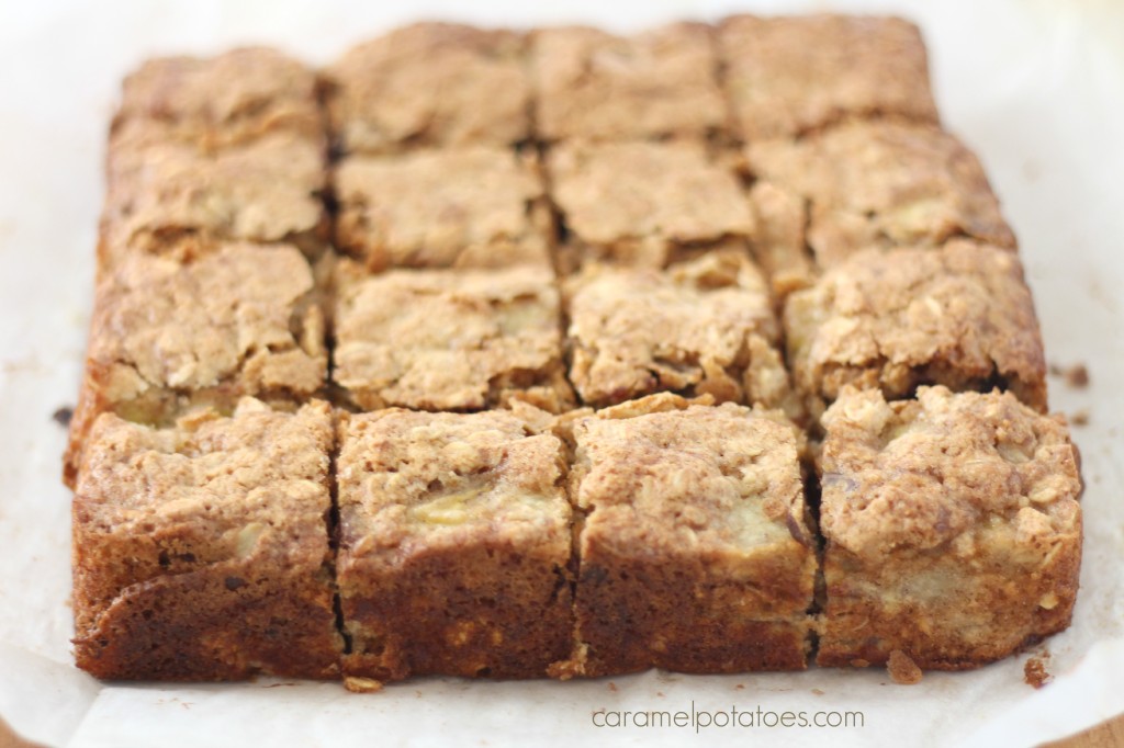 Chocolate Chip Banana Oat Snack Cake
