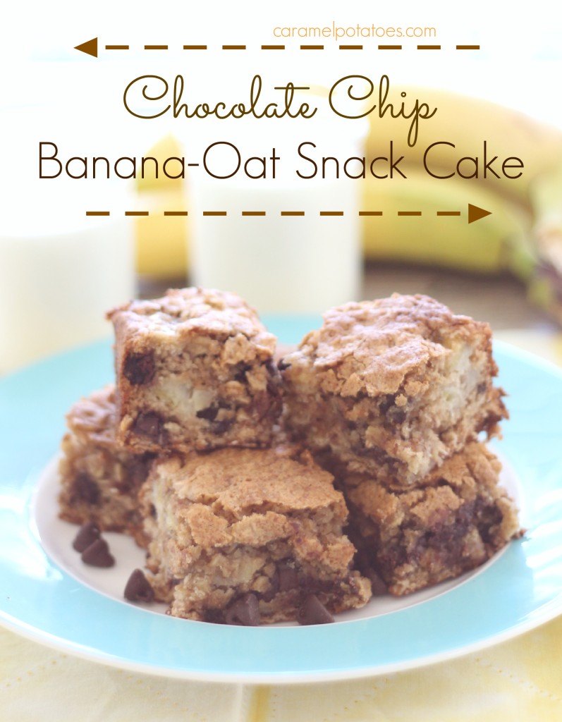 Chocolate Chip Banana Oat Snack Cake