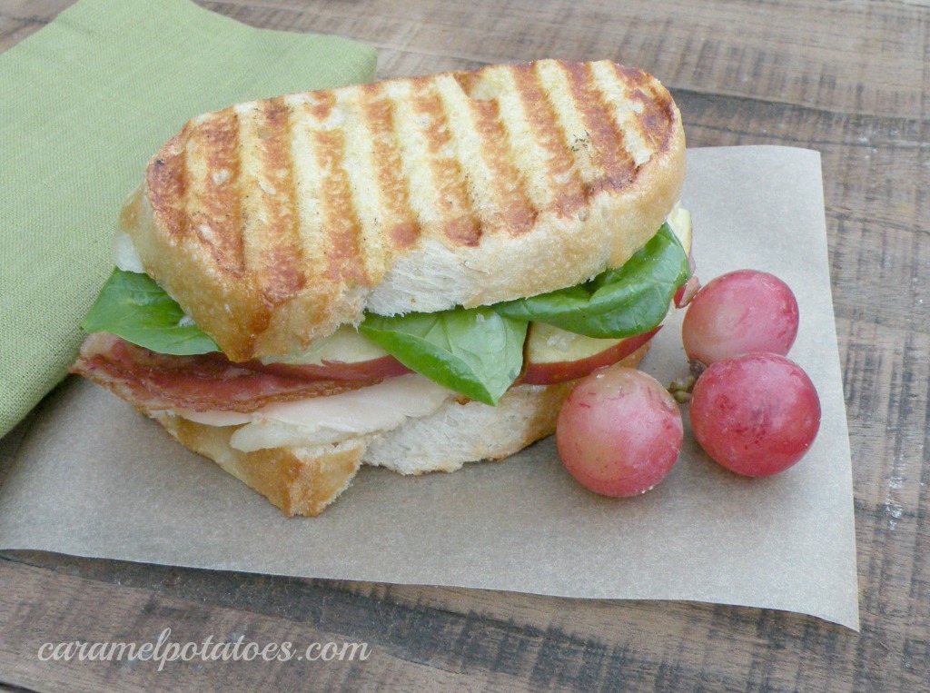 Turkey Panini