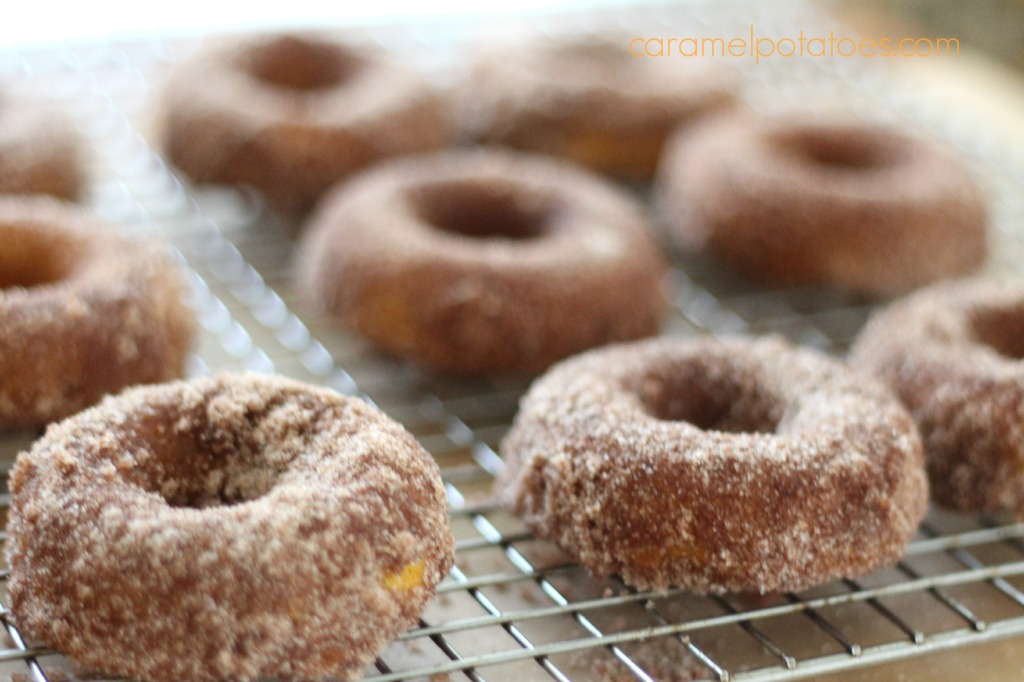 Baked Pumpkin Donuts 001