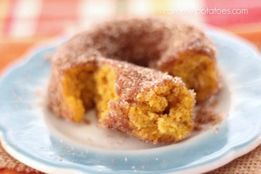 Baked Pumpkin Donuts