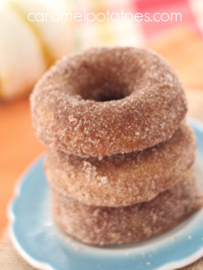 Baked Pumpkin Donuts