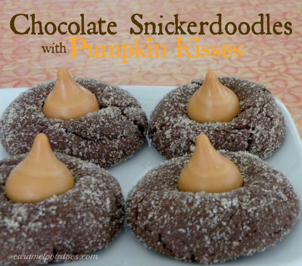 chocolate snickerdoodles