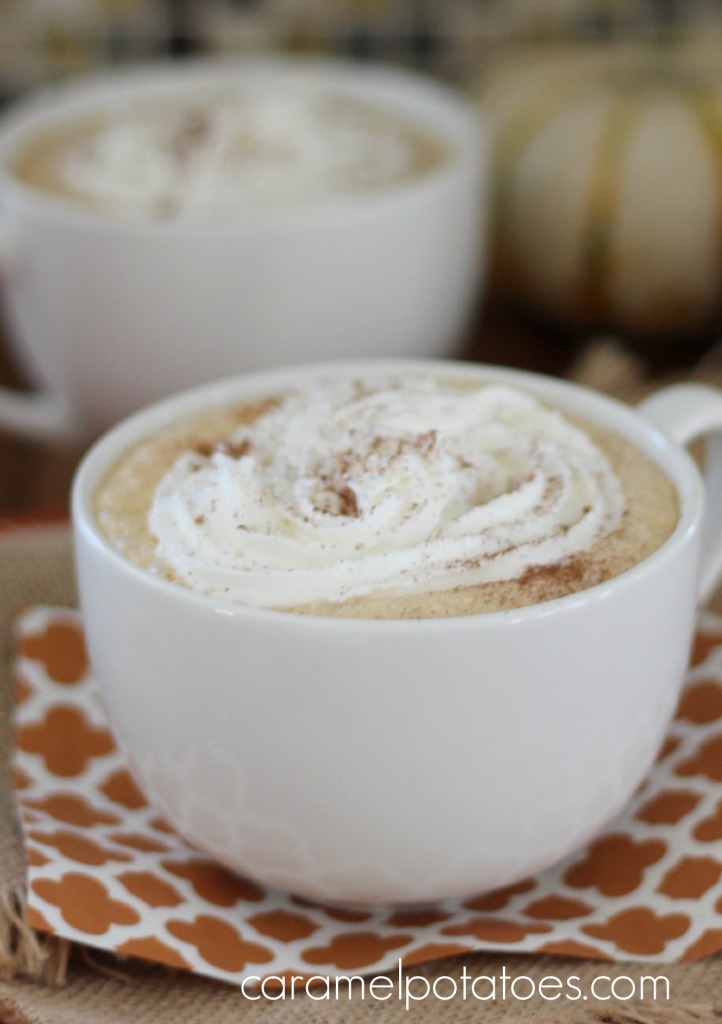 pumpkin steamers 014