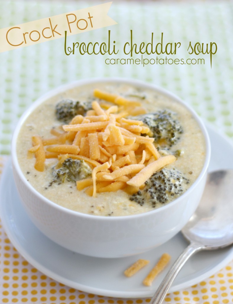 broccoli cheddar soup