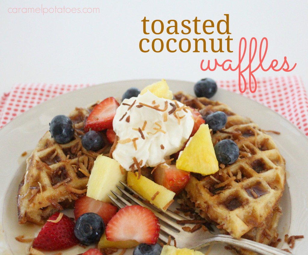 coconut waffles 107