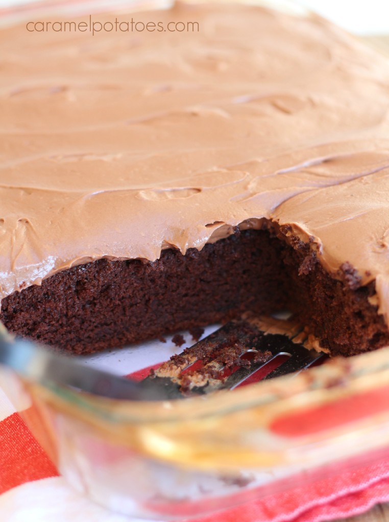 chocolate mayonaise cake 029