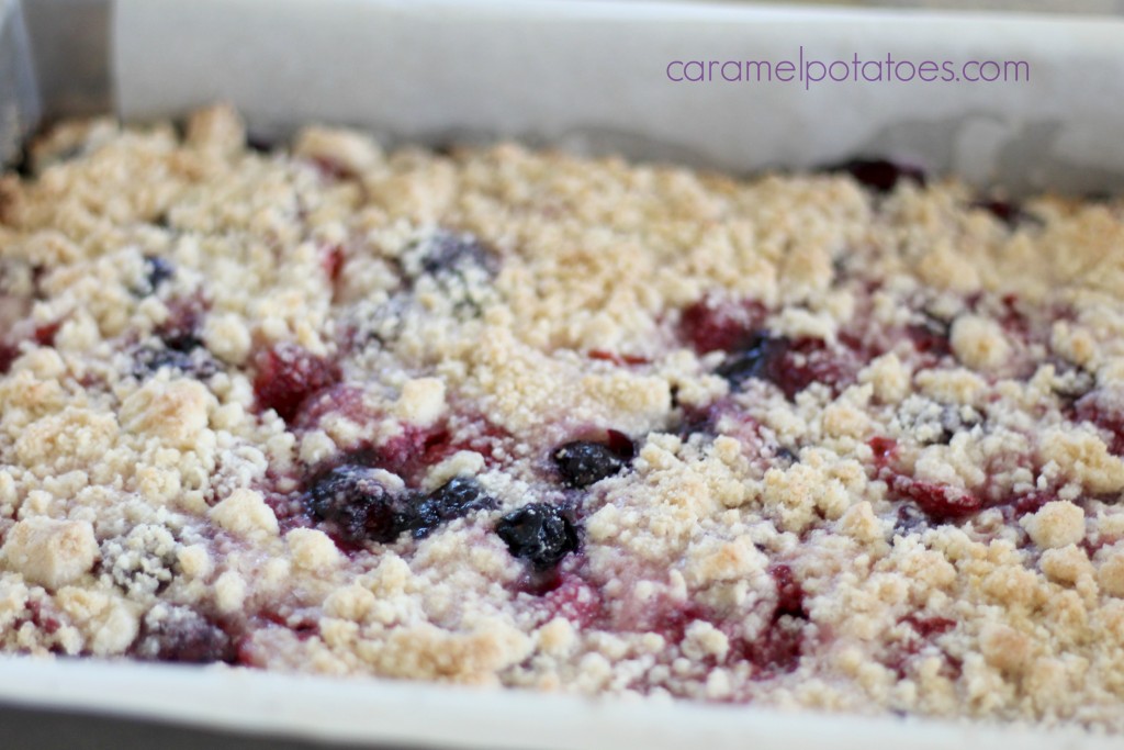 summer berry crumb bars 066