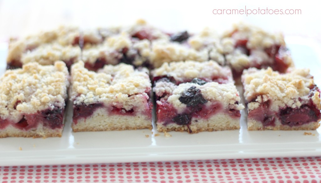 summer berry crumb bars 077