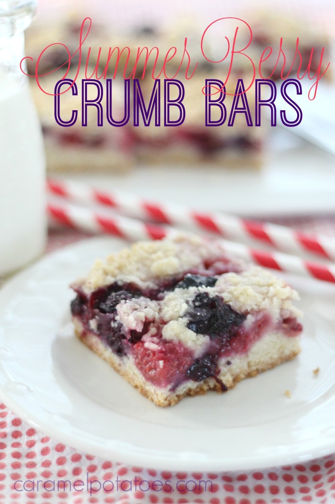 summer berry crumb bars 098