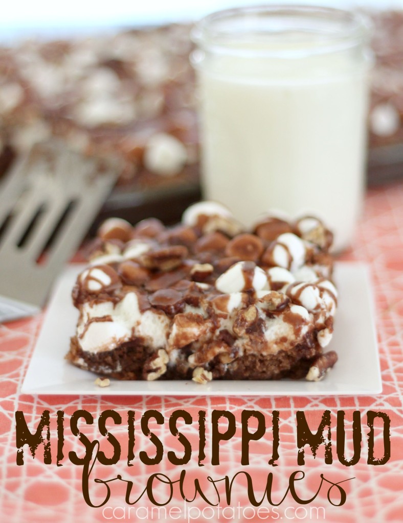 Mississippi Mud Brownies 084