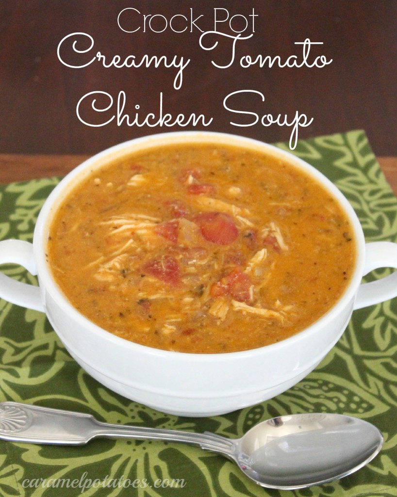 chicken tomato soup 074