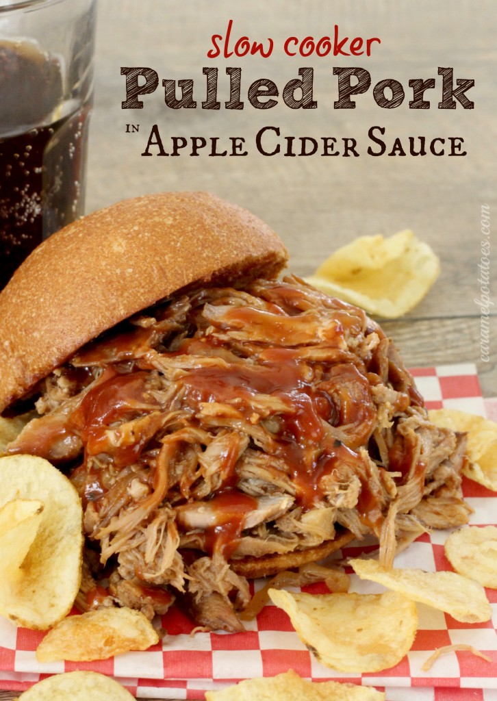 pulled pork 3 058
