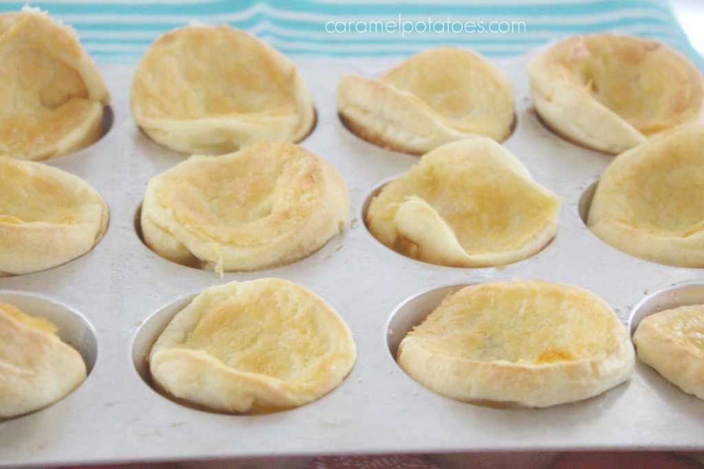 dutch babies 037