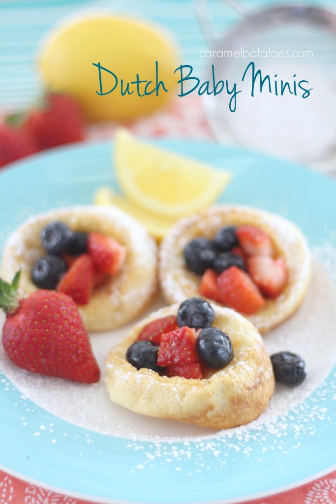 dutch babies 056